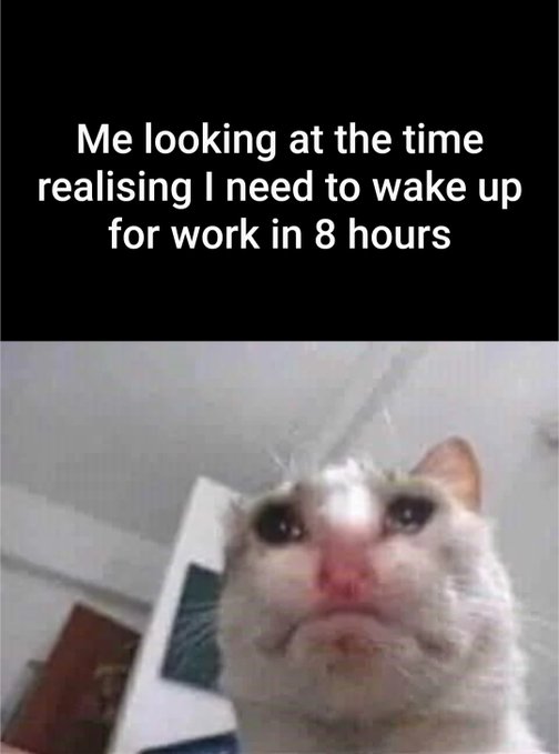 The image features a cat with a sad expression, looking directly at the camera. The caption below the photo reads "Me looking at the time realising I need to wake up for work in 8 hours", which seems to be related to the content of the image and the context provided by the post.