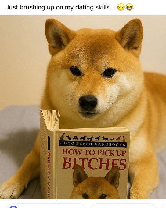 A Shiba Inu dog lies next to a book titled "HOW TO PICK UP BITCHES" from the "DOG BREED HANDBOOKS" series, with a caption reading "Just brushing up on my dating skills... 😏😂" — a humorous meme playing on the dog's breed name "b***h" to joke about the Shiba Inu learning dating advice.