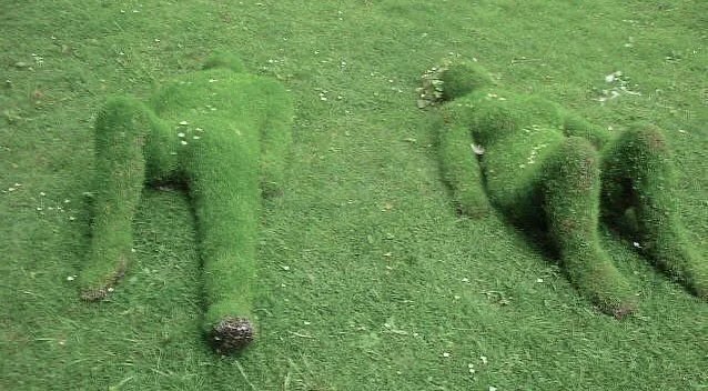 Two topiary sculptures shaped like animals lie on a grassy field, completely covered in green grass and small white flowers.
