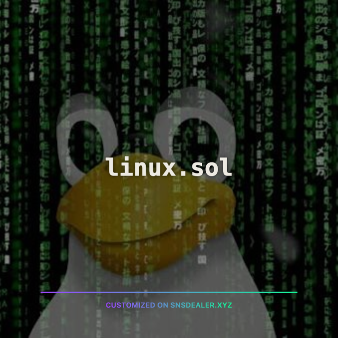 A penguin with a duck bill is overlaid with falling green Matrix-style code and the text 'linux.sol' in the center, with 'CUSTOMIZED ON SNSDEALER.XYZ' at the bottom.