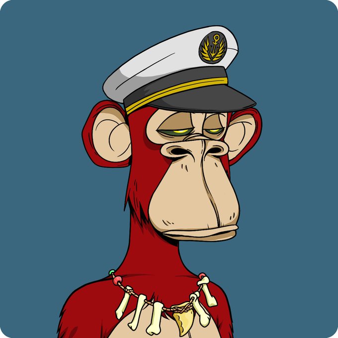 A digital illustration of a cartoon monkey with red fur, wearing a white sailor/captain hat with a gold emblem and a necklace made of bones and a gold pendant.
