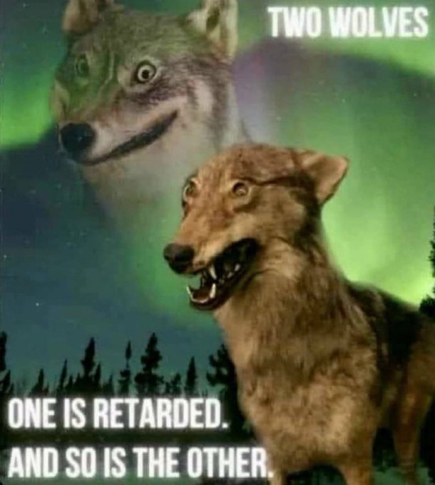 The image shows a meme titled "TWO WOLVES" with text reading "ONE IS RETARDED. AND SO IS THE OTHER," featuring two wolf photos—one normal and one grinning—and uses the absurdity of the meme to humorously criticize tribalism among supporters of the two leading crypto websites, implying both sides are equally irrational in their fandom.