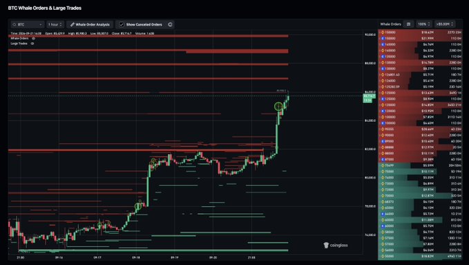 The image shows a BTC/USD 1-hour candlestick chart from Coinglass displaying "Whale Orders & Large Trades," with dense clusters of red (sell) whale orders stacked between approximately $120,000 and $132,000, illustrating the heavy sell-wall liquidity building up at and beyond the current price of around $118,490. The right-side order book panel reinforces this by showing large bid/ask quantities concentrated in red sell levels, visualizing the substantial resistance overhead as Bitcoin pushes to new highs.