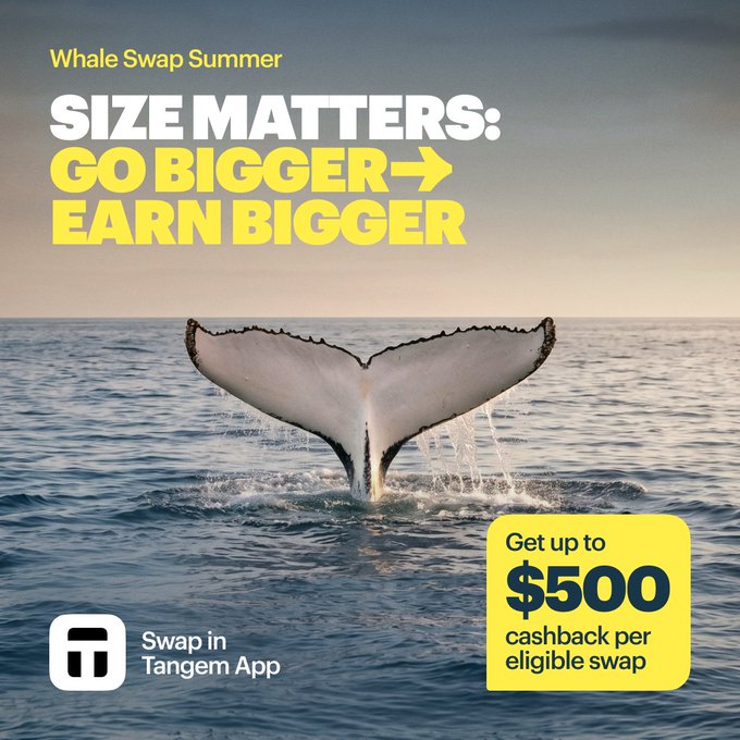 A whale's tail splashes in the ocean at sunset, overlaid with text promoting "Whale Swap Summer" on the Tangem App, offering up to $500 cashback per eligible swap based on trade volume. The imagery of the large whale tail visually reinforces the campaign's "Size Matters: Go Bigger, Earn Bigger" theme, tying the larger swap volume directly to higher cashback rewards.
