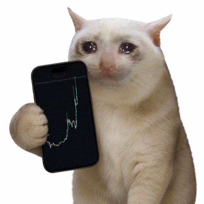 A white cat holds up a smartphone displaying a green candlestick crypto price chart with an upward spike.