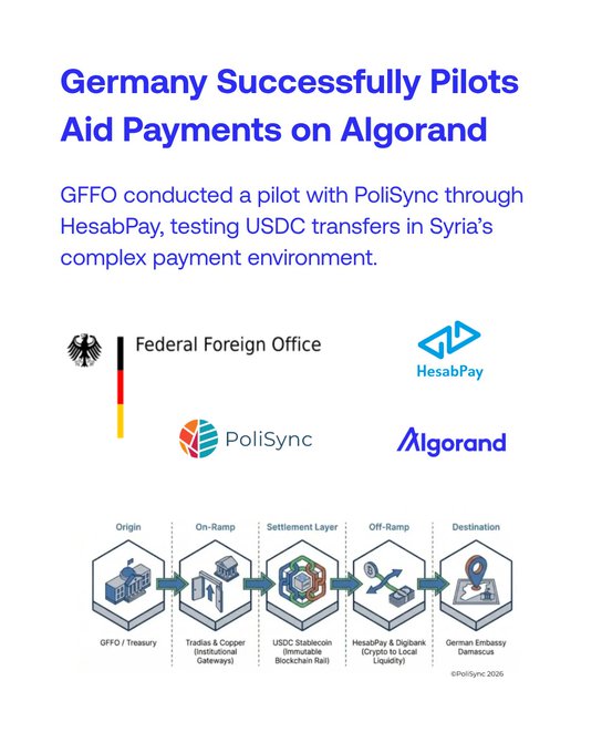 The image features a poster with various logos for different payment platforms, including USDC, EURC, and Polisync. The text on the poster suggests that these payment platforms can help make aid payments faster, more transparent, and easier to manage. This information is relevant to the post about Germany's successful pilots who have been aiding in Syria through the use of these payment platforms.