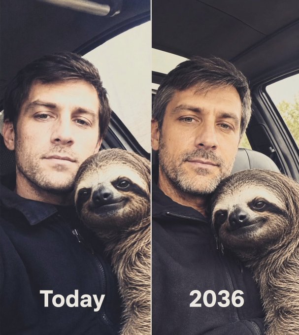 A side-by-side comparison labeled "Today" and "2036" shows a man holding a sloth, humorously depicting how sloths will supposedly outlive humans.