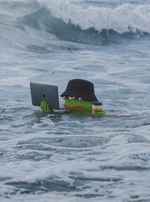 A comedic image of the Pepe the Frog meme character wearing a black bucket hat, submerged in ocean water while holding a laptop and a coffee cup.