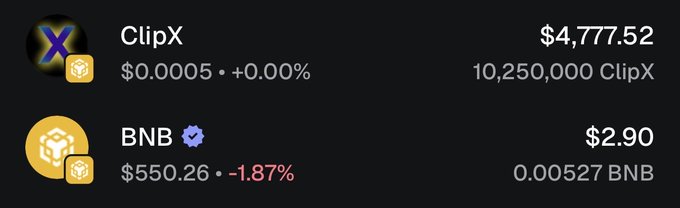 A crypto wallet tracking screenshot shows two assets: ClipX valued at $4,777.52 (holding 10,250,000 CLIPX at $0.0005, +0.00%) and BNB at $2.90 per token (0.00527 BNB worth $550.26, down -1.87%), illustrating the portfolio's Day 198 resilience as ClipX held steady despite BNB's decline.