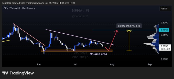A TradingView chart displays CRV/USDT on Binance showing price action approaching a highlighted "Bounce area" near $0.2030 with an annotated target of $0.0843 (45.87%) pointing toward a resistance zone between $0.2693 and $0.3000, illustrating the analyst's call for a potential 40–45% upside breakout if the demand zone holds against the descending trendline.