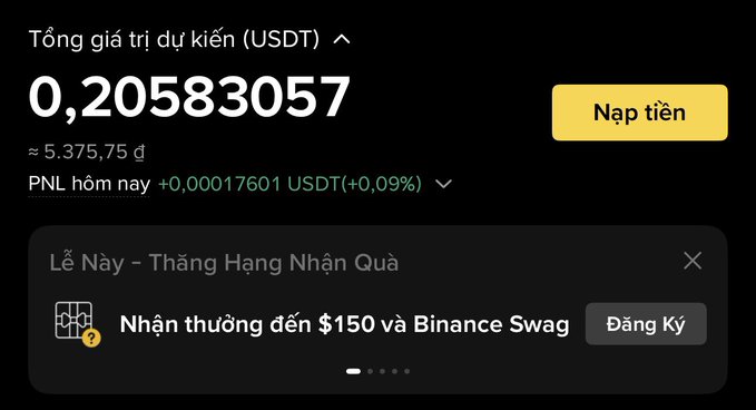 A screenshot of a financial account dashboard in Vietnamese showing a total estimated value of '0,20583057 USDT' (≈ 5.375,75 ₫). It includes a 'Nạp tiền' (deposit) button, PNL info, and a promotion banner for 'Nhận thưởng đến $150 và Binance Swag'.