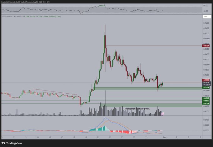 The image shows a TradingView candlestick chart for SUI/USDT on Binance, with a 4-hour timeframe, displaying a recent price of $0.7306 (+1.35%) and a "Phenomenal entry point..." annotation near the $0.72 support level. The chart supports the post's bullish outlook by showing price consolidating at a key support zone ($0.7128-$0.7306), suggesting a potential upward breakout from the recent downtrend.