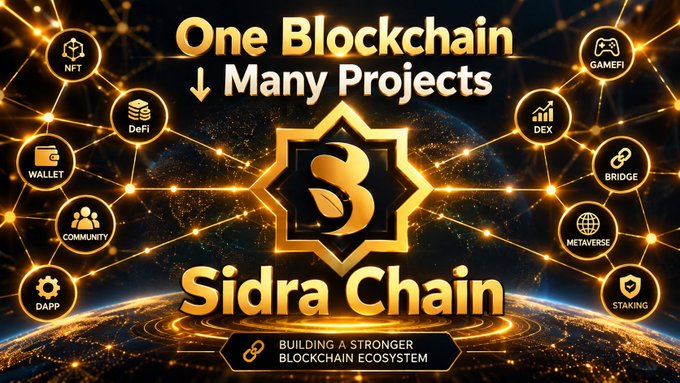The image is a promotional graphic for Sidra Chain, featuring a central logo with a glowing gold design, surrounded by interconnected icons representing ecosystem components like NFT, DeFi, DEX, GAMEFI, BRIDGE, METAVERSE, STAKING, DAPP, COMMUNITY, and WALLET. The text reads "One Blockchain → Many Projects," "Sidra Chain," and "BUILDING A STRONGER BLOCKCHAIN ECOSYSTEM," visually reinforcing the post's message about a unified blockchain supporting diverse applications such as DeFi, DEX, and NFTs.