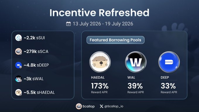 A promotional graphic from Scallop titled 'Incentive Refreshed' (13 July 2026 - 19 July 2026), listing assets like sSUI, sSCA, sDEEP, sWAL, and sHAEDAL, alongside featured borrowing pools HAEDAL (173% Reward APR), WAL (39%), and DEEP (33%).