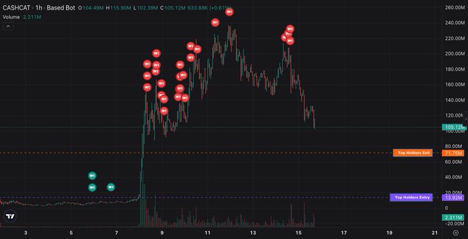 This 1-hour chart displays the CASHCAT token's price action, showing its significant rise and subsequent fall, along with "Top Holders Exit" and "Top Holders Entry" markers. The image visually represents the volatility and potential gains or losses discussed in the accompanying post about evaluating trading partners in a bull market.