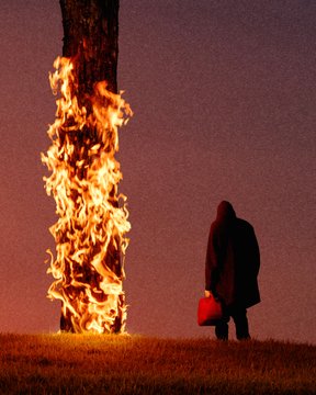 A silhouetted figure carrying a red gas can walking toward a large tree engulfed in flames against a dusky purple sky.