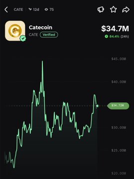 The image shows a trading chart for Catecoin (CATE) on Gate.io, displaying a price of $34.7M with a 24-hour surge of 84.4%, visually confirming the post's claim of the token's significant rally.