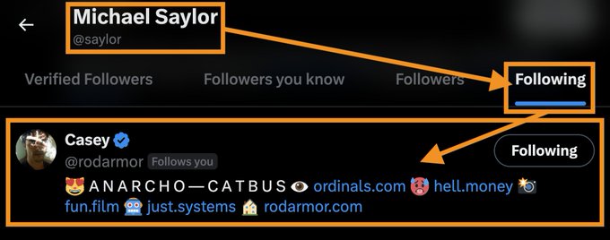An identical Twitter/X screenshot showing Michael Saylor's (@saylor) profile with arrows pointing to his 'Following' tab, highlighting that he follows Casey (@rodarmor) who has 'Follows you' indicated.