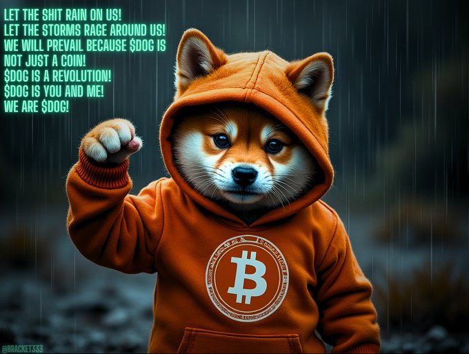 The image features a dog wearing an orange hoodie with a Bitcoin symbol on it, standing against a dark background. Below the dog's head, there are lines of text that read "Let the shit rain on us! The shit makes us stronger. $dog". This message seems to be related to the Bitcoin cryptocurrency and is meant to convey a humorous or satirical take on its popularity and influence.