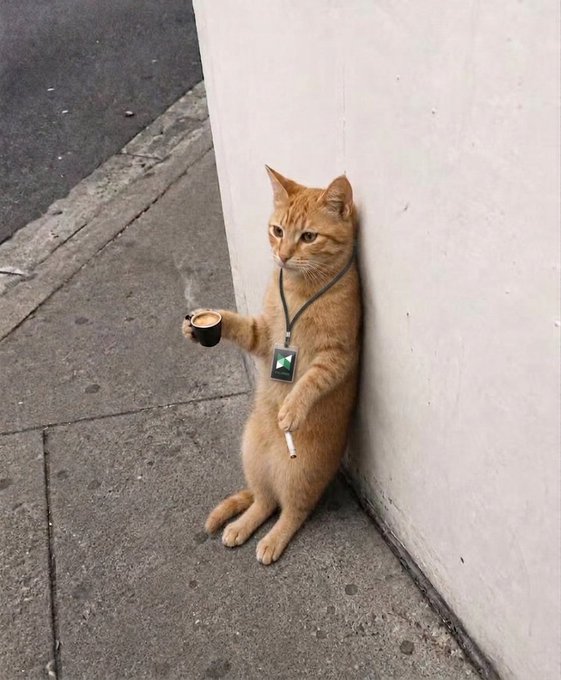 An orange tabby cat stands upright on its hind legs against a wall on a sidewalk, wearing an ID lanyard while holding a small espresso cup and a cigarette in its paws.