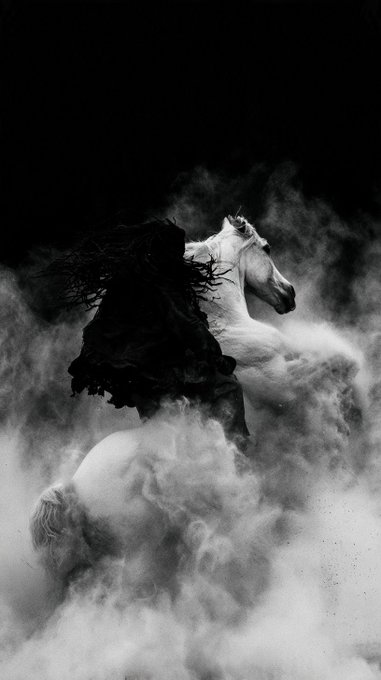 A dramatic black and white photograph of a rider on a rearing white horse emerging from a cloud of dust or smoke against a dark background.