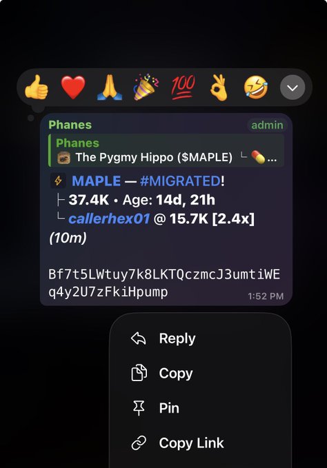 A Discord message from admin Phanes announcing that $MAPLE has migrated to The Pygmy Hippo at 15.7K with a 2.4x multiplier.
