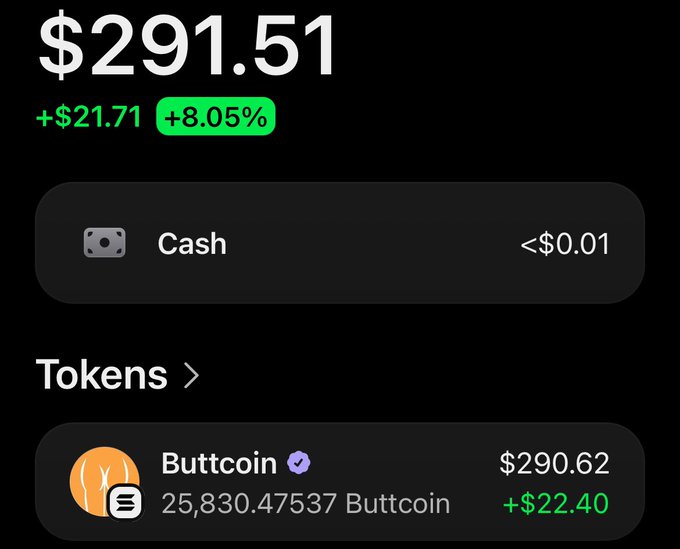 A financial app screen displaying a balance of $291.51 (+$21.71, +8.05%), with holdings showing Cash (<$0.01) and Tokens including 'Buttcoin' at $290.62 with 25,830.47537 Buttcoin (+$22.40).