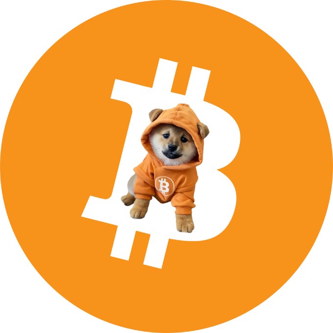 An orange circular Bitcoin logo featuring a Shiba Inu dog wearing a Bitcoin-themed orange hoodie with the Bitcoin "B" symbol.