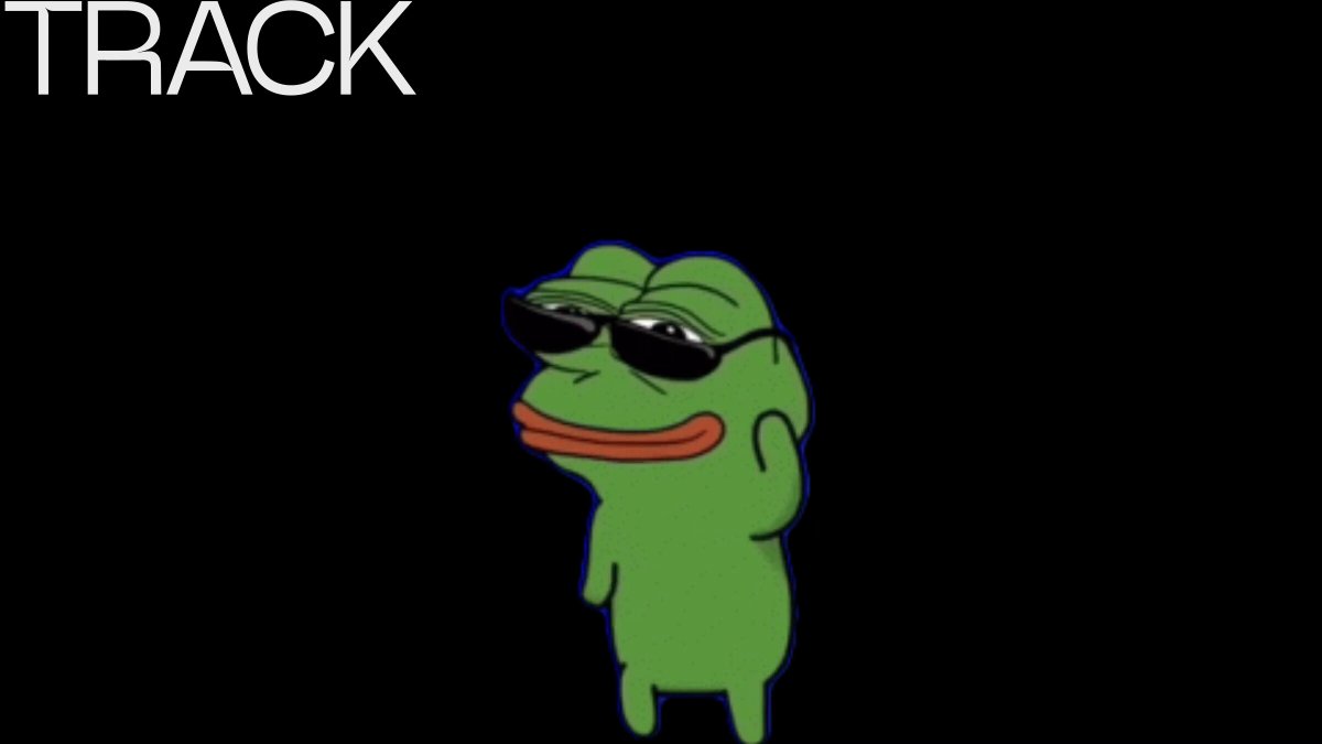 The image features a cartoon frog wearing sunglasses, standing against a black background with the text "TRACK" written above it. The frog appears to be dancing or jumping around, creating an entertaining scene that captures attention.