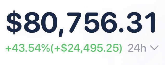 A financial display showing a price of $80,756.31 with a 24-hour change of +43.54% (+$24,495.25) in green text.
