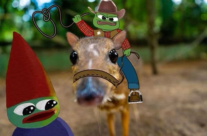 A meme image showing a small deer with a cartoon cowboy Pepe the Frog riding it, and a crying garden gnome Pepe in the foreground.