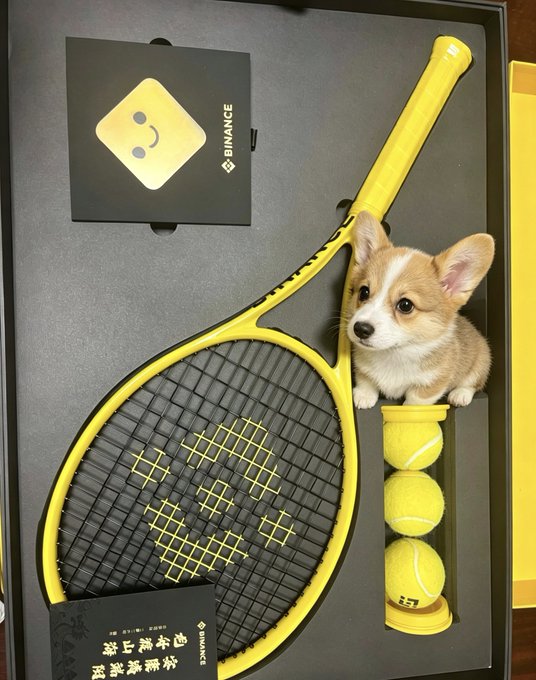 The image features a small brown and white dog sitting next to a yellow tennis racket, with three tennis balls nearby. The scene appears to be set up for a photo opportunity or an advertisement related to tennis equipment.