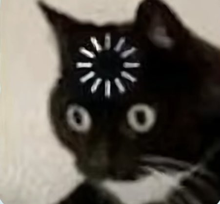 The image features a black cat with white paws, looking at the camera with an expression of confusion or surprise. The cat's eyes are wide open, giving it a startled look as if something unexpected has happened. The background appears to be a plain white wall, which contrasts with the dark fur and white paws of the cat. There is no text present in the image, but there is a caption that reads "有人能给点建议吗? 我目前手里有1000U把它变成10万U？". This caption suggests that the cat's expression might be related to a recent event or situation, possibly involving an unexpected change in its environment.