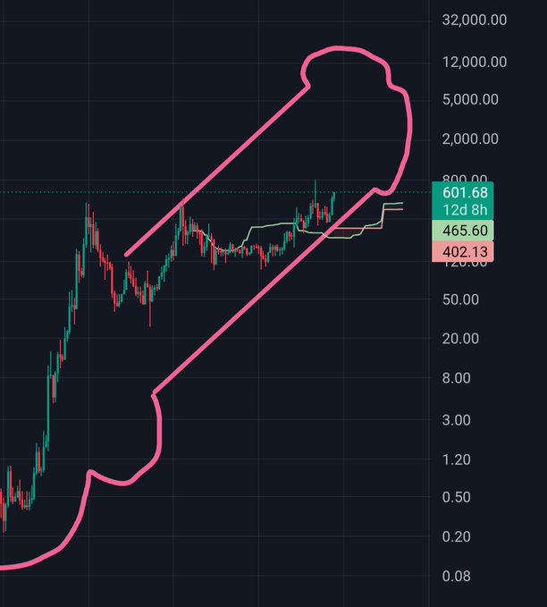 A stock/cryptocurrency price chart on a logarithmic scale with a pink line drawn over it depicting a hand giving a middle finger gesture, showing prices ranging from 0.08 to 32,000.00.