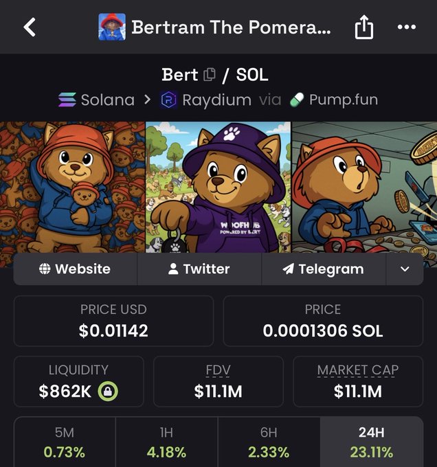 Mobile screenshot of a Solana-based token page for Bertram The Pomeranian ($Bert) on Raydium via Pump.fun, showing a price of $0.01142, $862K liquidity, $11.1M FDV, and 24-hour performance stats.