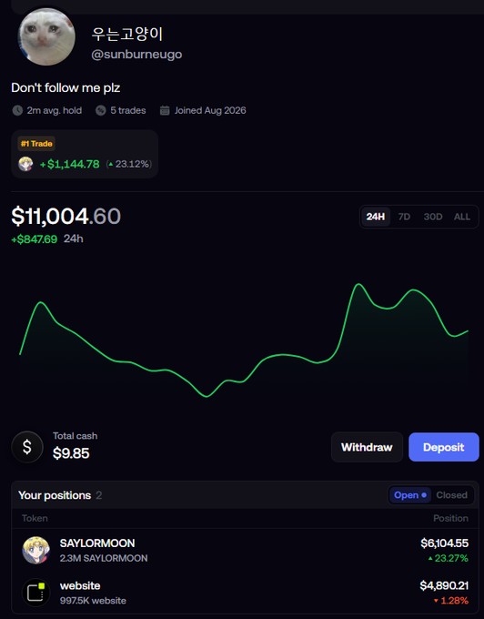 A user profile showing a portfolio of $11,004.60 with a $847.69 24-hour gain, featuring open positions in $SAYLORMOON ($6,104.55, +23.27%) and $website ($4,890.21, +1.28%), consistent with the post describing a 50/50 split between the two tokens.