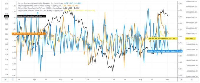 A multi-axis financial chart displaying Bitcoin exchange whale ratios and net realized profit/loss metrics (CryptoQuant data) alongside BTC price from April to September, supporting the whale-watching narrative by visualizing how reduced exchange inflows and elevated realized profit/loss ratios (e.g., 1.05 ratio and 262218913.22 net realized loss) coincide with periods of price consolidation.