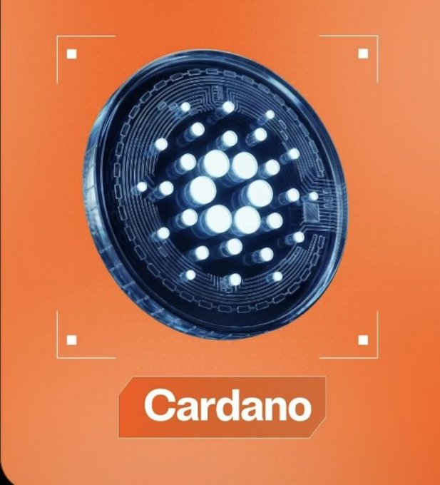 A digital card with an orange background displaying a Cardano coin graphic and the text 'Cardano'.