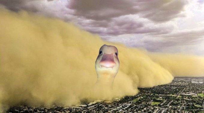 A digitally altered image of a giant goose head emerging from a massive dust storm looming over a city landscape.