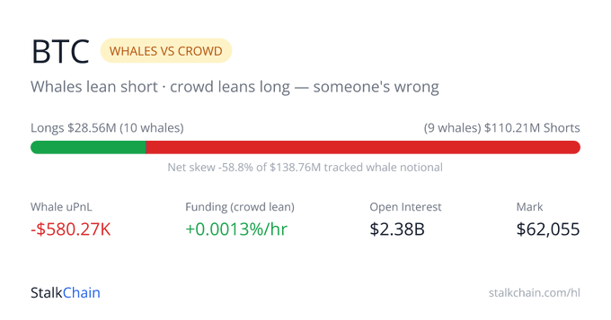 The image is a "BTC Whales vs Crowd" dashboard from StalkChain showing a -58.8% net skew with whales holding $110.21M in shorts versus $28.56M in longs from the crowd, currently up -$580.27K in unrealized PnL with funding at +0.0013%/hr and BTC's mark price at $62,055—visually capturing the whale vs. retail showdown described in the post, where the long-leaning crowd is currently winning against the short-positioned whales.