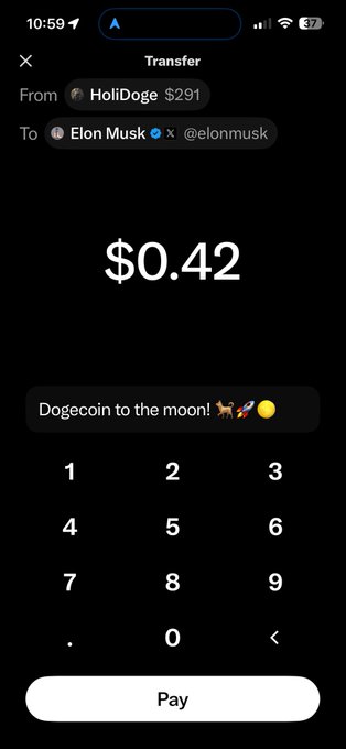 Screenshot of a mobile payment app showing a transfer of $0.42 from HoliDoge to Elon Musk (@elonmusk) with the message 'Dogecoin to the moon!' on the memo line.