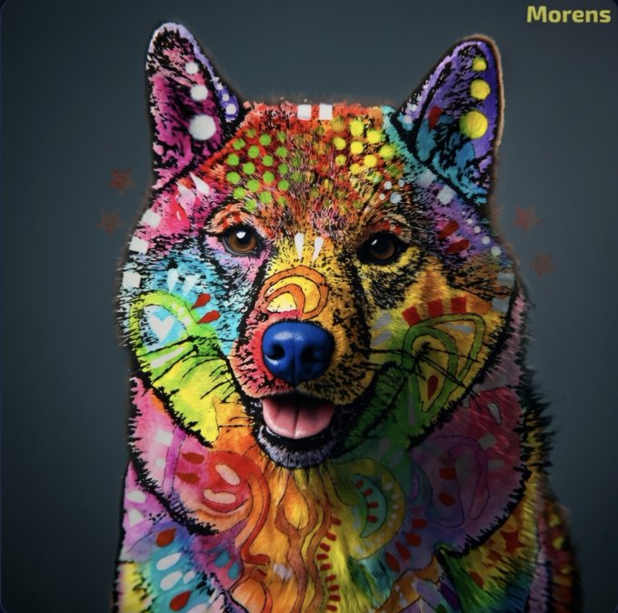 A vibrant, multicolored pop-art style portrait of a Shiba Inu (Doge) covered in bright rainbow hues, patterns, and decorative elements against a dark background, with the text "Morens" visible in the upper right corner—fittingly capturing the iconic Doge meme in an artistic, expressive interpretation.