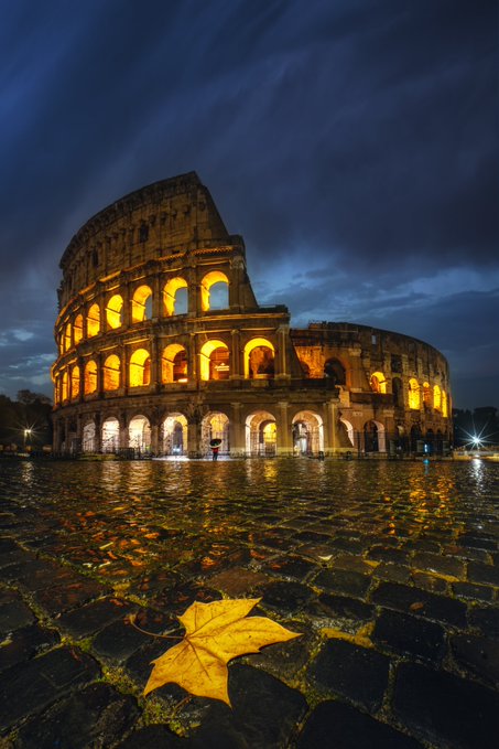 A nighttime photograph of the illuminated Colosseum in Rome, with a single yellow fallen leaf in the foreground on wet cobblestones.