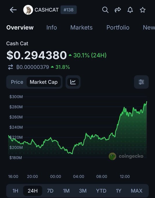 The screenshot shows CoinGecko's overview page for Cash Cat ($CASHCAT), with the token trading at $0.294380 (up 30.1% in 24H) and a market cap chart peaking above $280M, visually confirming the all-time high milestone mentioned in the post.