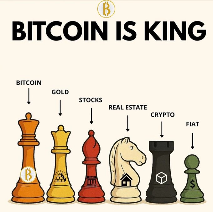 An infographic titled 'BITCOIN IS KING' depicting a row of chess pieces representing different asset classes, with the largest orange king piece bearing the Bitcoin logo, followed by Gold, Stocks, Real Estate, Crypto, and Fiat.