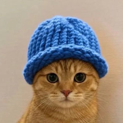 A close-up photograph of a golden tabby cat with large green eyes wearing a knitted blue beanie hat.