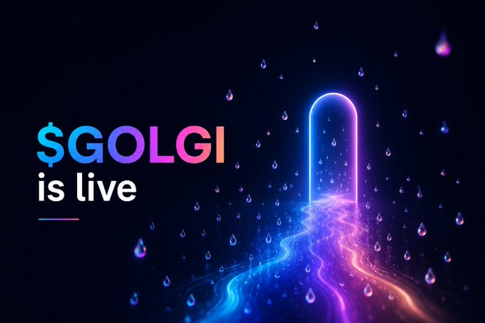 The image shows a colorful illustration of a rainbow river flowing through an open archway in the center. Beneath this visual display, there is a caption explaining the concept behind the scene - the phrase "SGOLGI IS LIVE" written beneath the rainbow river and the accompanying images. The text suggests that the river is part of a larger online platform where anyone can trade Solana private protocol for virtual currency or access to the platform's trading features.
