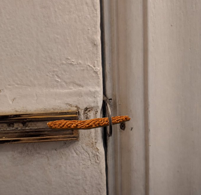 A close-up photograph shows a textured yellow rope threaded through a metal ring on a white wooden door frame, positioned next to a wooden mounting block on a textured wall.