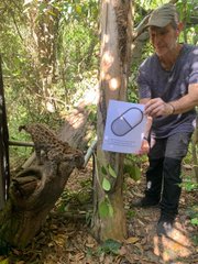 A man in a cap and dark shirt stands in a wooded area next to a fallen log, pinning up a hand-drawn paper sign that appears to depict an acorn or similar object.