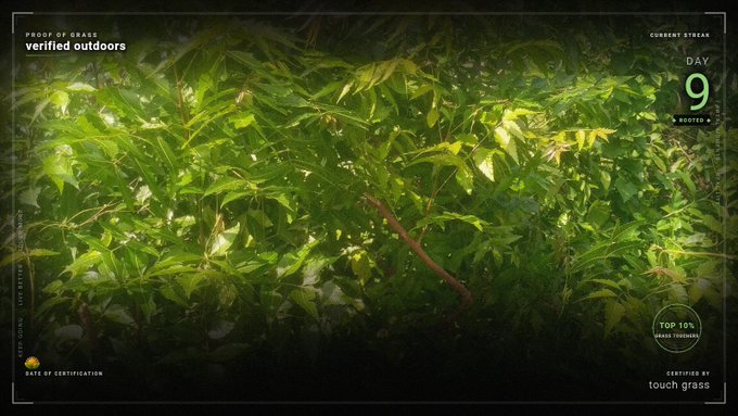 A photograph of a cannabis plant is overlaid with a certification graphic from 'touch grass,' noting 'PROOF OF GRASS verified outdoors,' 'CURRENT STREAM DAY 9 ROOTED,' and 'TOP 10% GRASS TOUCHERS.'